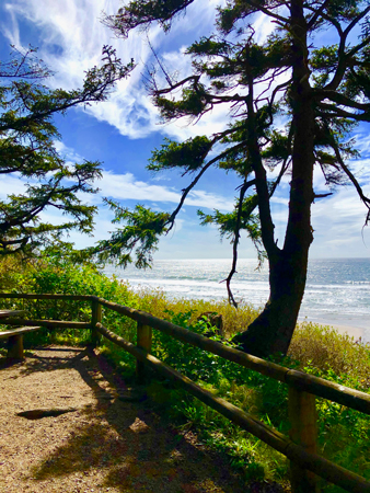 Beautiful view of the Pacific Ocean from Ecola State Park on the Oregon Coast.