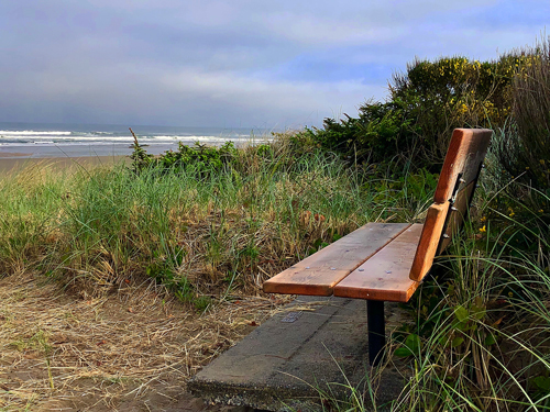 Secluded bench overlooking the Pacific Ocean at Manhattan Beach State Park.