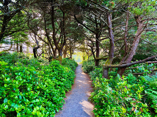 A paved path through Twin Rocks Turnaround Park down to the beach access point.