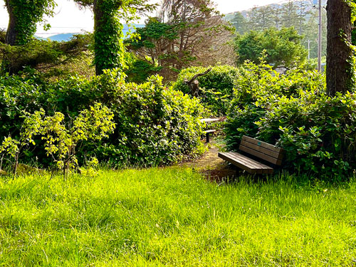 A bench to relax and view the mature growth in Twin Rocks Turnaround Park.