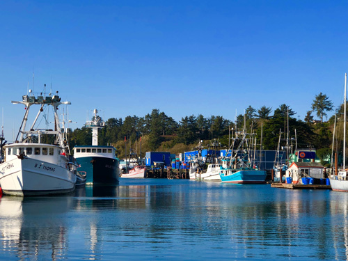 Fishing boats at Newport Harbor Oregon.